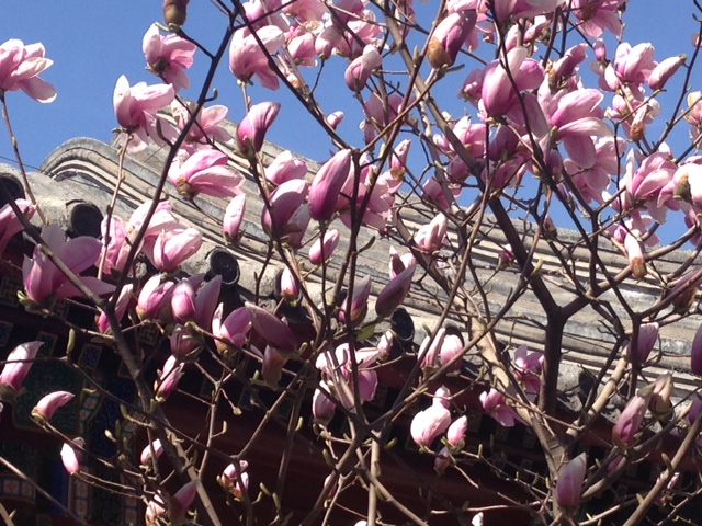 Blumen